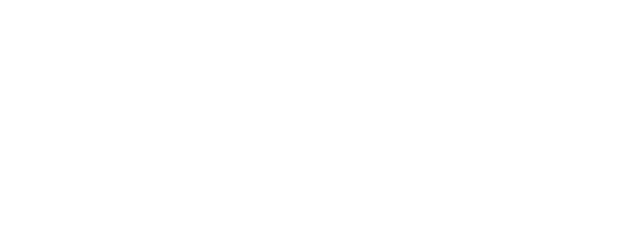 Logo Torre del sole